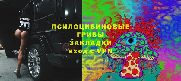 соль курить ск Богородск