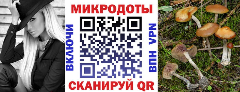 мориарти Telegram  Велиж  Псилоцибиновые грибы ЛСД 